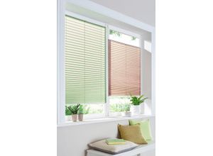 6970901550291 - Plissee MY HOME DAHRA - in Crush-Optik Gr 11 grün B85cm H130cm Obermaterial 100% Polyester Plissees Fixmaß Bestseller mit über 5500 45-Sterne-Bewertungen Klemmträger