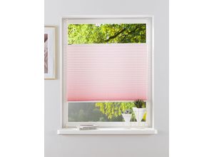 6970901550727 - Plissee MY HOME DAHRA - in Crush-Optik Gr 4 rosa (rosé) B70cm H130cm Obermaterial 100% Polyester Plissees Fixmaß Bestseller mit über 5500 45-Sterne-Bewertungen Klemmträger