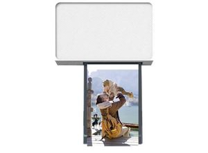 6971398600827 - Liene Amber M200 Fotodrucker Druck-Auflösung 300 x 300 dpi Papierformat (max) 100 x 148 mm