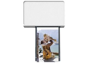6971398600858 - Liene Amber M100 Fotodrucker Druck-Auflösung 300 x 300 dpi Papierformat (max) 100 x 148 mm