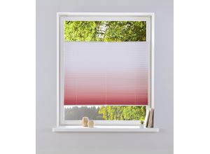 6973968492689 - my home Plissee »Ombré« Lichtschutz ohne Bohren verspannt Fixmass Farbverlauf Klemmträger