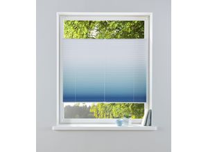 6973968492849 - Plissee MY HOME Ombré Plissees Gr 130 cm zweiseitig verschiebbar 120 cm blau Plissees ohne Bohren Fixmaß Farbverlauf Klemmträger