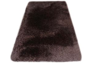 6975178650019 - Hochflor-Teppich Lasse hoher Flor besonders weich durch Mikrofaser Teppiche Gr B L 240 cm x 320 cm 76 mm 1 St braun Esszimmerteppiche Shaggy-Look meliertes Garn Wohnzimmer Schlafzimmer Kinderzimmer