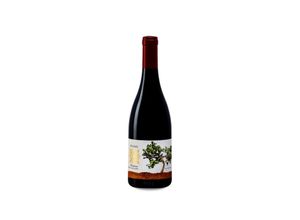 7290008670623 - Recanati Petit Syrah Reserva 2018 - 75cl