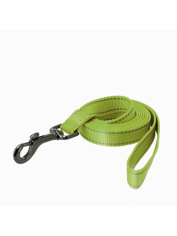 7312132231041 - Nylon leash Iris