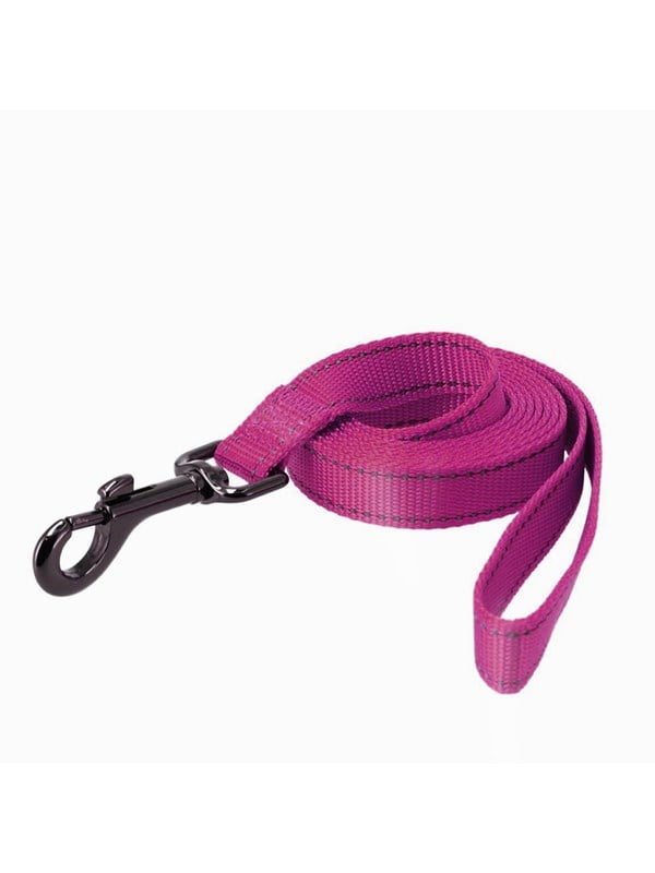 7312132231164 - Nylon leash Iris