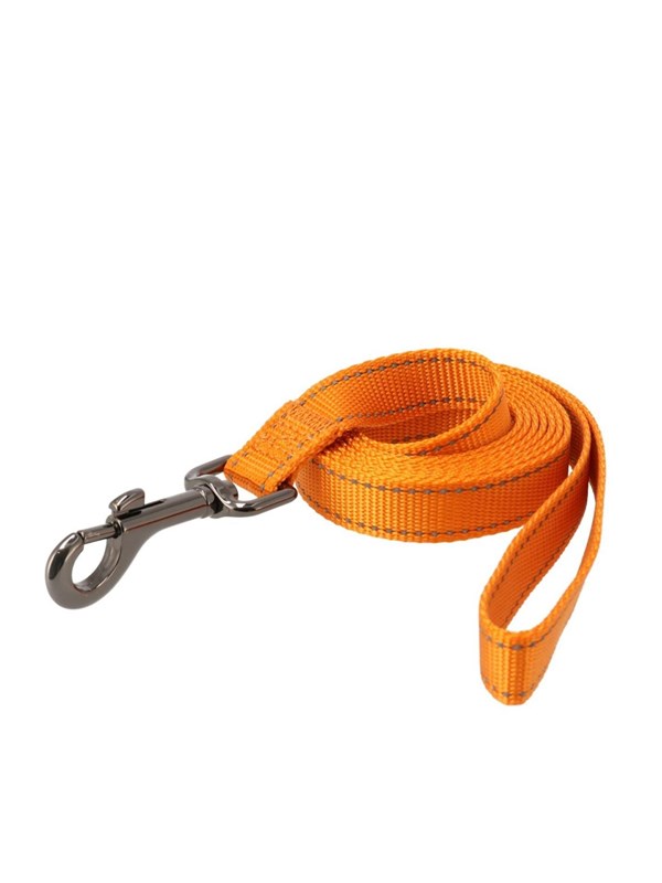 7312132231256 - Nylon leash Iris