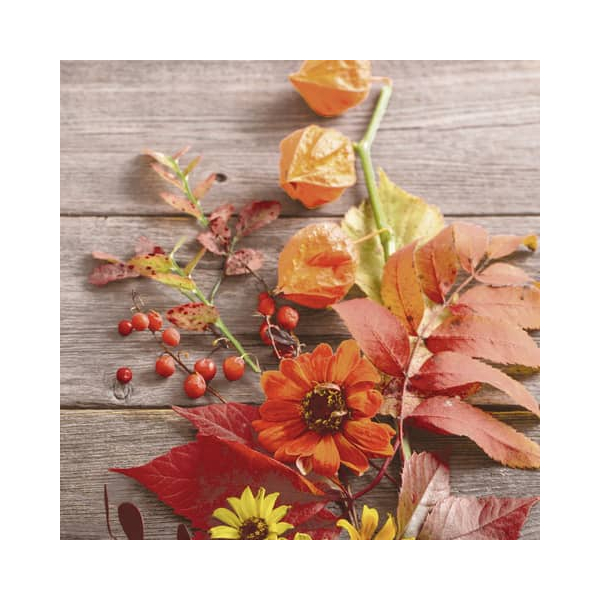 7321012032593 - 203259 Motivserviette 33x33cm Herbst 7321012032593 PAPER+DESIGN