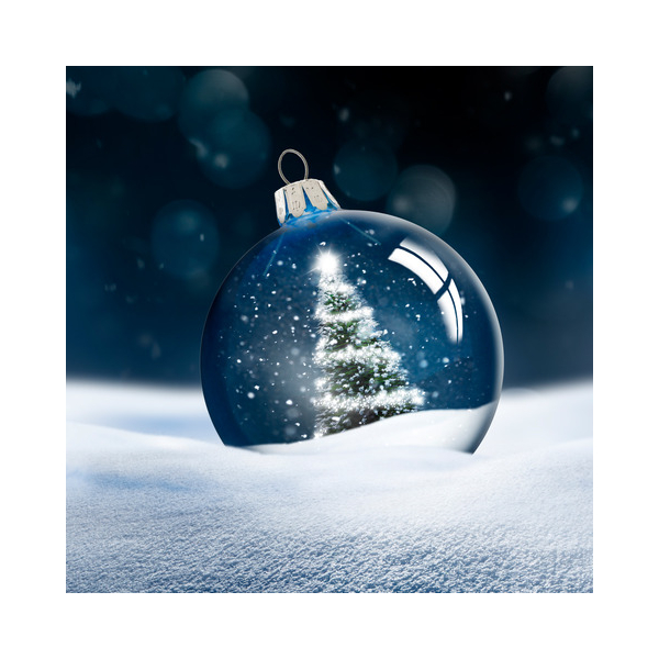 7321012108458 - Weihnachtlicher Zelltuchserviette 33x33cm 7321012108458 Paper+Design 20 Stück