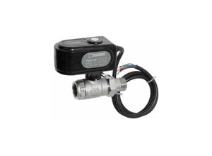 7330193046640 - 2-Wege Motorkugelhahn DN20 3 4 ig 3 4 ag Kugelhahn Motorisch 230V Laufzeit 40 Sek 43100400 - Esbe