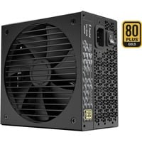 7340172702788 - ION Gold Netzteile - 650 Watt - 140 mm - ATX 252 - 80 Plus Gold zertifiziert