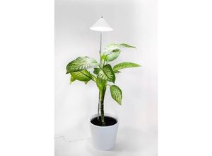 7350067690502 - SUNLiTE XL LED Vollspektrum Pflanzenlampe Weiß 25W Indoor Plants Pflanzen Beleuchtung mit ausziehbarem Teleskopstab Parus Pflanzenlampe für große und kleine Zimmerpflanzen