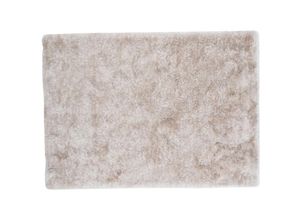 7350107085961 - Ebuy24 - Shiva Teppich 240x170 cm Polyester beige