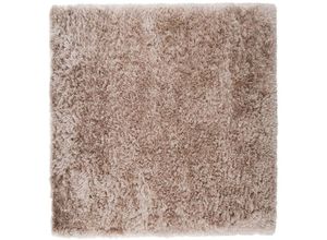 7350118416198 - Ebuy24 - Grace Teppich 300x300 cm Polyester beige