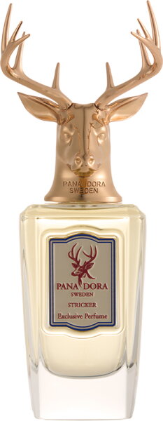 7350123230970 - Stricker Eau de Parfum (EdP) 100 ml