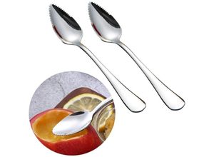 7354185286296 - Grapefruitlöffel aus Edelstahl 2 Stück Dessertlöffel Edelstahllöffel geeignet für Apfel Kiwi Papaya Orange und Eis (Silber) - Sollbry