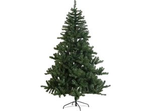 7391482036292 - Star Trading Künstlicher Weihnachtsbaum New Quebec von Star Trading Tannenbaum mit Ständer in Grün für innen und außen Höhe 21 m