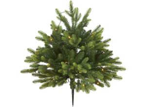 7391482044341 - Star Trading - LED-Tannenbaum Busk ca 80x75 cm 40 ww led