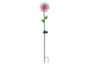 7391482057440 - Led Solar Dekoleuchte Pink Daisy in Mehrfarbig 003W - Star Trading