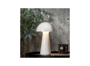 7391482064691 - STAR Trading LED-Deko-Leuchte Mushroom in Weiß - (B)16 x (H)28 cm