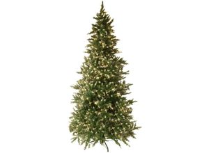 7391482608604 - Best Season LED-Weihnachtsbaum Vancouver circa 225 x 135 cm grün mit weißen Spitzen mit Trafo 550 warm weiß Pisello led mit Metallfuss outdoor
