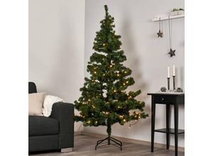 7391482609038 - Star Trading Deutschland Gmbh - Künstlicher Weihnachtsbaum Ottawa von Star Trading Tannenbaum mit led Lichterkette und Ständer in Grün für innen und