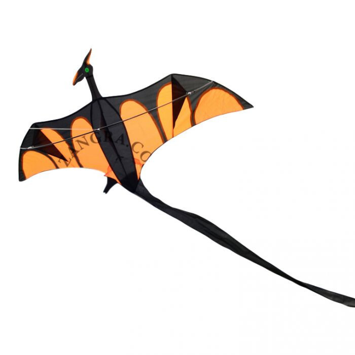 7426845034902 - Drachen-Drachen Icare Distribution