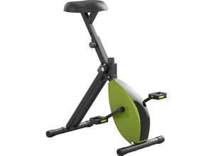 7440807025081 - Deskbike MEDIUM grün   schwarz