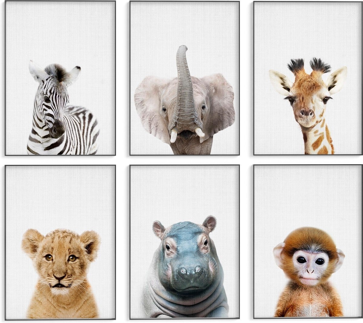 7445936314372 - Tiere Kinderzimmer Poster - 6 Poster - 21x30 cm - Stabiles Papier - Safari