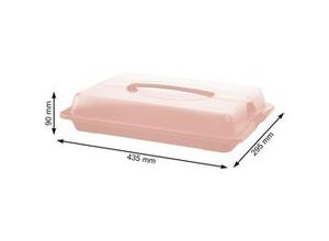 7610859241993 - Rotho JOHN Partybutler medium 435 x 295 x 90 mm Transportbox befördert sicher und einfach Kuchen belegte Brötchen und mehr Farbe linnea pink ged