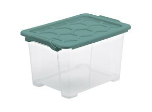 7610859246400 - Rotho EVO SAFE Box mit Deckel mistletoe green Kunststoffbox aus lebensmittelechtem PP Fassungsvermögen 15 Liter