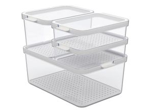 7610859259769 - rotho Kühlschrank Organizer 4-tlg CAUMA