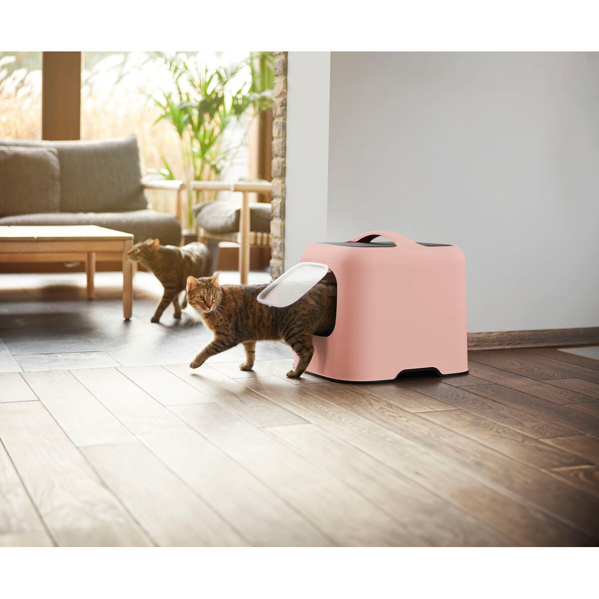 7610859267504 - Katzentoilette Rosa 7610859267504 - Katzentoilette Rosa