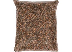 7610877543734 - Glorex Gmbh - Glorex Traubenkerne 1000 g Bastelmaterial