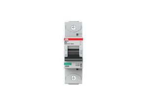 7612271212643 - 2CCS881001R0201 S801C-D20 Leitungsschutzschalter 20 A 230 V