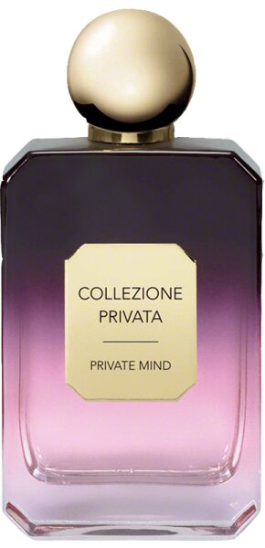 7612535520217 - Private Mind Eau de Parfum (EdP) 100 ml