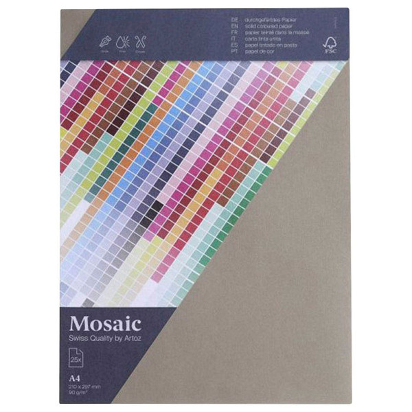 7612996917953 - Kopierpapier Mosaic 947925-217 zement A4 90g  7612996917953 25 Blatt