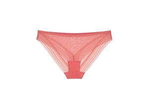 7613141984387 - - Tai slip - Orange XL - Tempting Tulle - Unterwäsche für Frauen