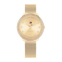 7613272576970 - Quarzuhr TOMMY HILFIGER Demi Armbanduhren goldfarben Damen Armbanduhr Damenuhr Glaskristalle analog Edelstahlarmband