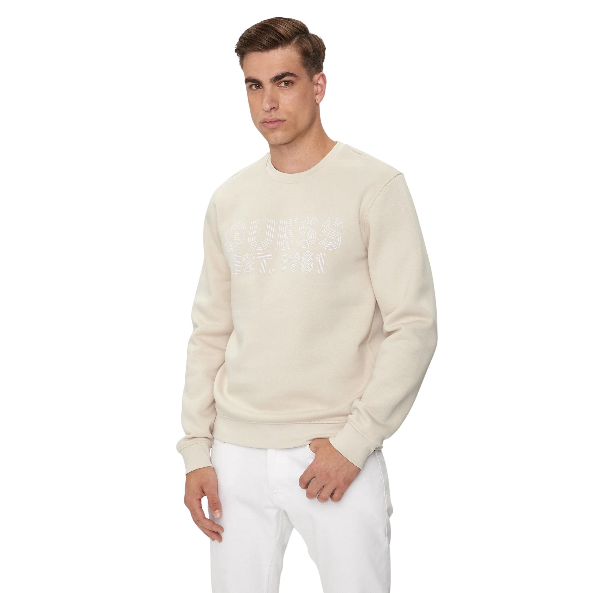 7618391353433 - Pullover Beau