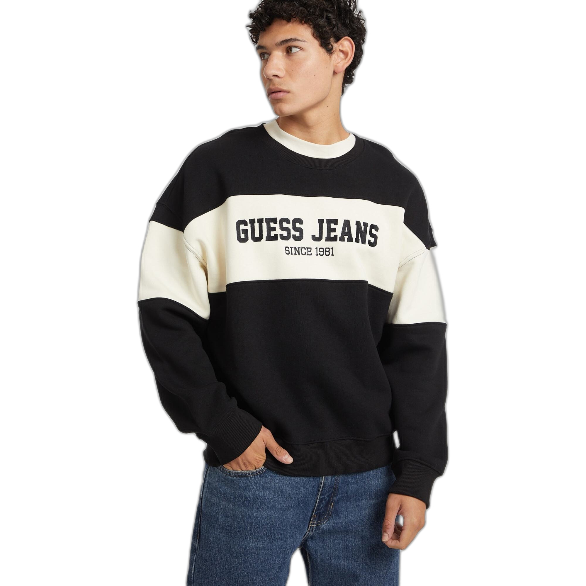 7625408209324 - Gestreifter Hoodie Horizont