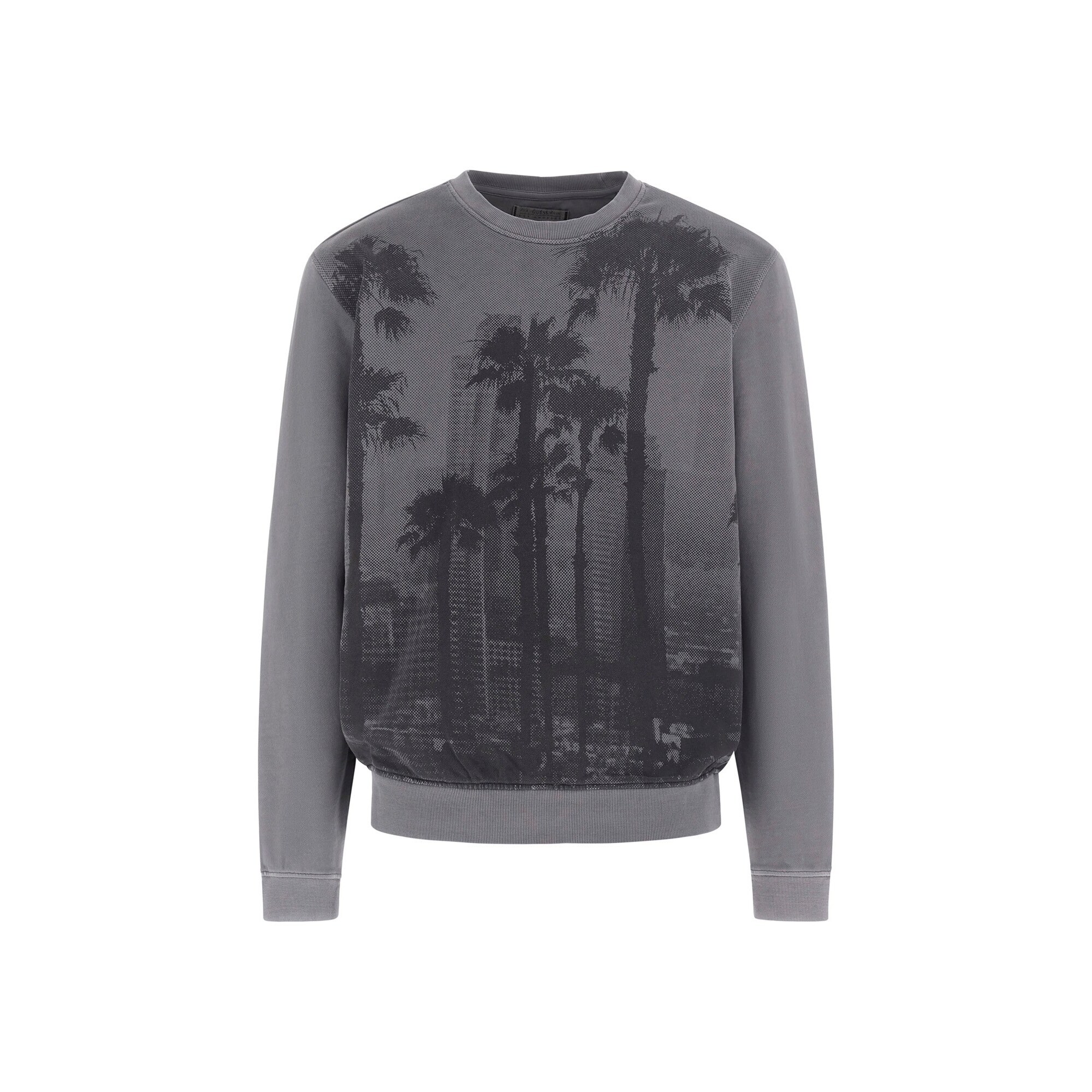 7626741158072 - Pullover Palm