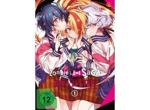 7630017531049 - Munehisa Sakai - GEBRAUCHT Zombie Land Saga Revenge - Staffel 2 - Vol1 - [DVD] - Preis vom 09062023 050546 h