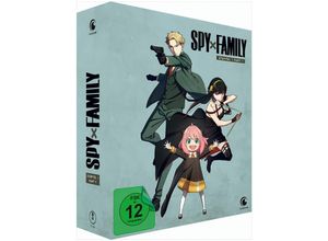 7630017532077 - Spy x Family - Staffel 1 (Part 1) - Vol1 High Definition Remastered (DVD)