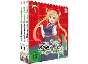 7630017534019 - Miss Kobayashis Dragon Maid - Staffel 1 - Gesamtausgabe - Bundle - Vol1-3 (DVD)