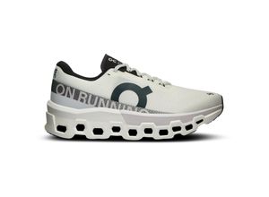 7630867888867 - Cloudmonster 2 Laufschuhe Herren in undyed-frost