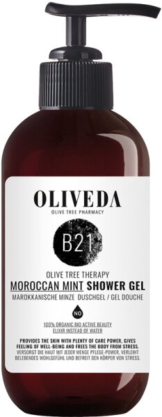 7640150560165 - B21 Moroccan Mint Shower Gel 250 ml