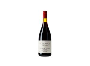 7791728010794 - Zuccardi Polígonos Gualtallary Malbec 2020 - 75cl