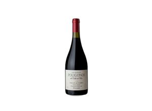 7791728010800 - Zuccardi Polígonos Paraje Altamira Malbec 2020 - 75cl