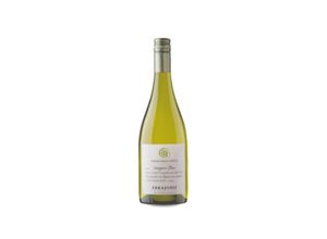 7804304001236 - Viña Errazuriz Aconcagua Costa Sauvignon Blanc 2022 - 75cl